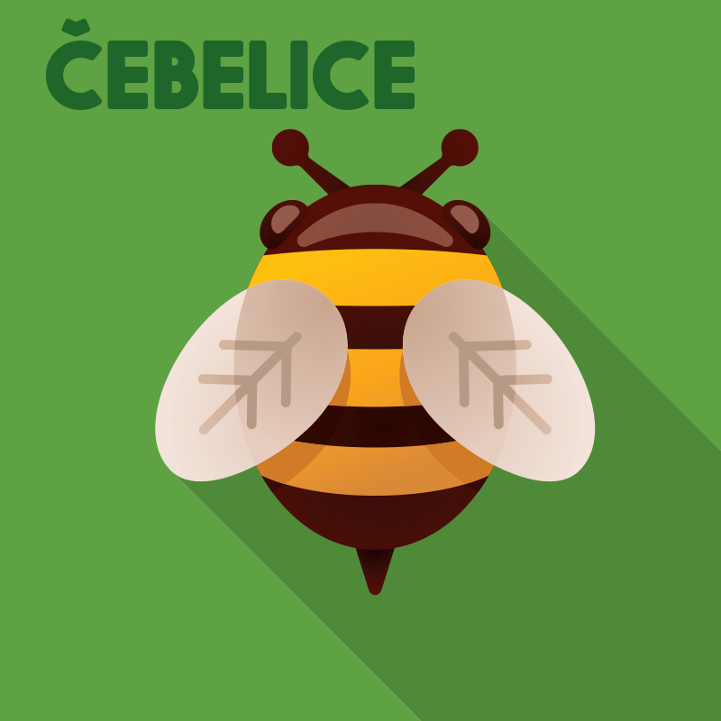 Čebelice bel7