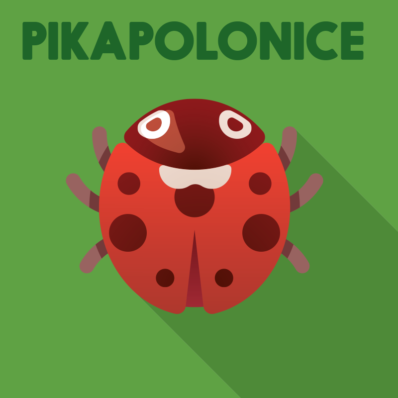 Pikapolonice bel2