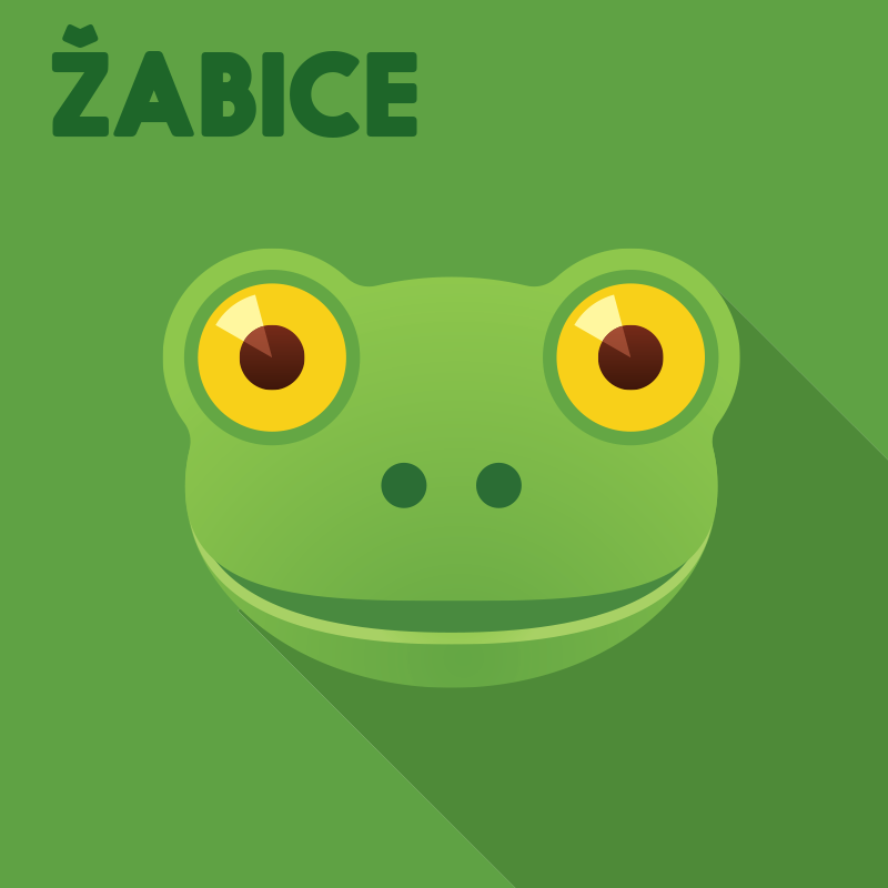 Žabice belv1