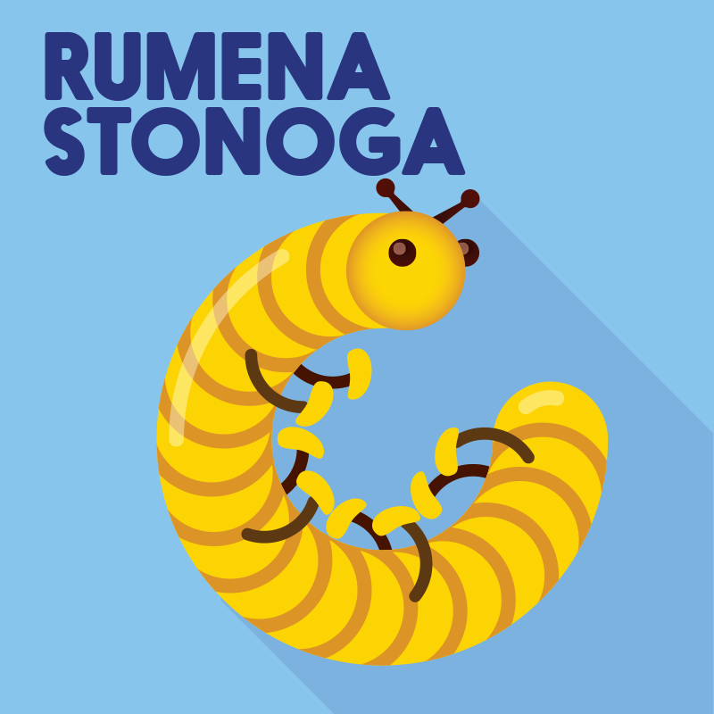 Rumena stonoga L3